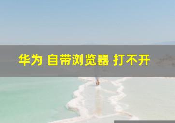 华为 自带浏览器 打不开